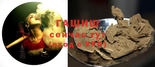 гашик Белокуриха