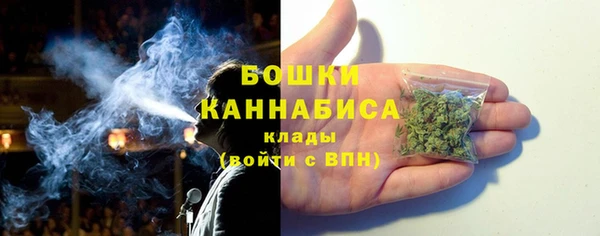 гашик Белокуриха