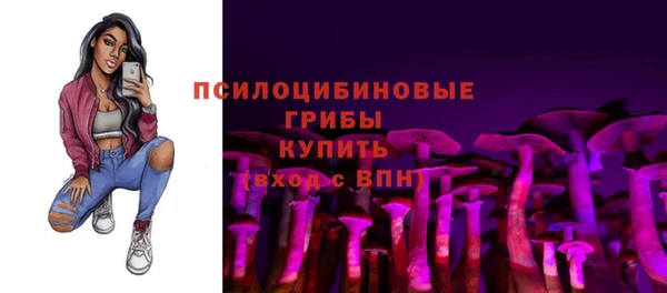 гашик Белокуриха