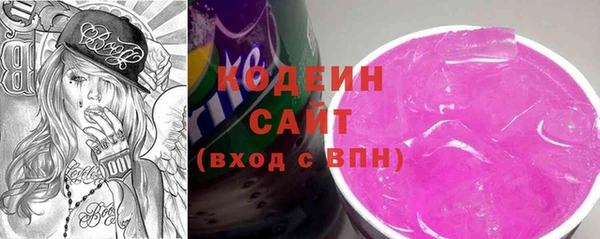 гашик Белокуриха