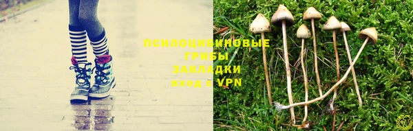 гашик Белокуриха