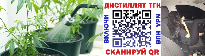 ТГК вейп с тгк  Малоархангельск 